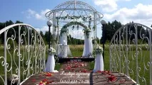 проведення