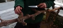 боротися