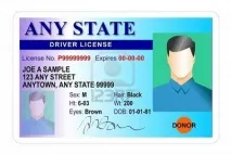 New York або як отримують права та номери в США отримують
