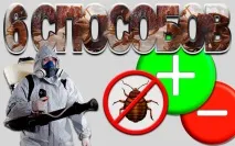 Обробка білизни та одягу від клопів поради та рекомендації одягу