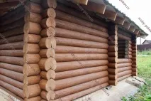 Обробка зрубу засоби обробки та способи їх нанесення обробки