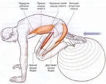 техниката