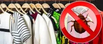 Обробка білизни та одягу від клопів поради та рекомендації рекомендації