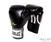 Огляд боксерських рукавичок Everlast Pro Style everlast