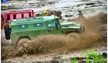 Звідки взявся «Тигр» Йорданії