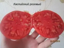 Томат Каспійський рожевий Опис сорту, відгуки, фото томат