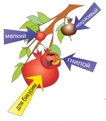 частина1