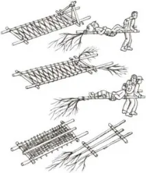 польових