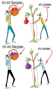 таке