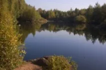 області