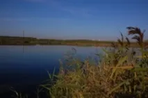 області