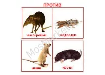 сонячній