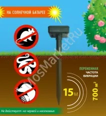 сонячній