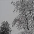 Перший сніг раптом прийшов, перший сніг» (фотозамальовка) раптом