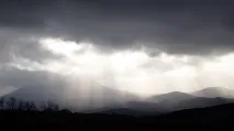 Персональна фотовиставка - СВІТ ПІД НОГАМИ, Блоги Макроклуба фотовиставка