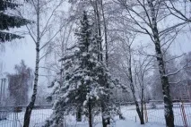 Перший сніг раптом прийшов, перший сніг» (фотозамальовка) раптом