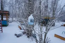 Перший сніг раптом прийшов, перший сніг» (фотозамальовка) сніг