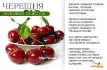 Користь черешні - чим корисна черешня для здорового організму користь
