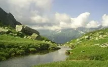 Природа, рослини та тварини Північного Кавказу природа