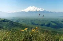 Природа, рослини та тварини Північного Кавказу північного