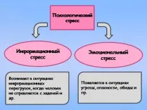 презентация