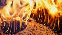 Виробництво пелет для котлів на твердому паливі виробництво