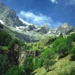 Рослинний світ Кавказу світ