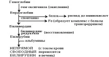 Розпад гемоглобіну розпад