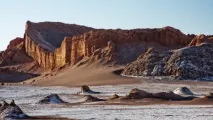 Рослини Південної Америки лісів