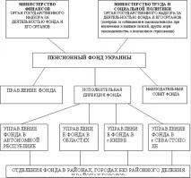 възпроизводство