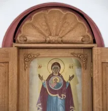 Раковина – це молюсків
