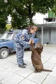 тулски