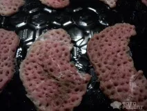 Рецепт Ескалоп, у духовці рецепт