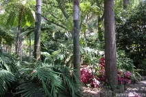 Мортелла