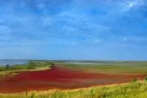 ціни