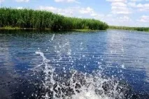області