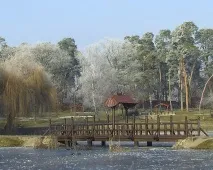 поправити