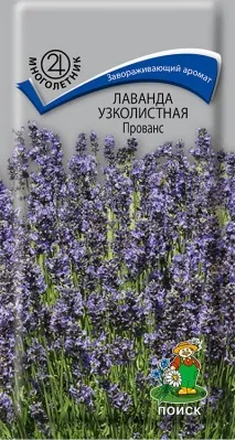 Насіння лаванди багаторічної в каталозі інтернет-магазину лаванди