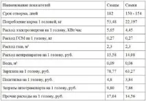 Широкогруді індики - білі розведення, опис, догляд індики