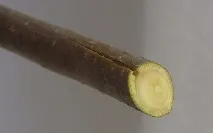 способи