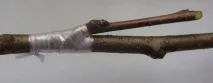 способи