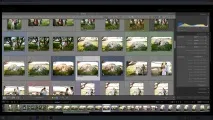 Термін обробки фотографій або розподіл часу фотографа термін