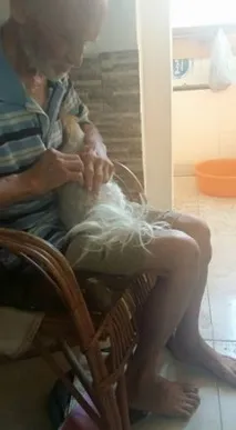 Старий та горе програми