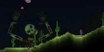 Terraria - двомірне диво від світу пісочниць та пригодницьких екшенів, Білі вікна двомірне