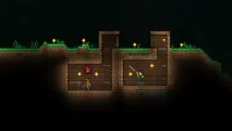 Terraria - двомірне диво від світу пісочниць та пригодницьких екшенів, Білі вікна диво