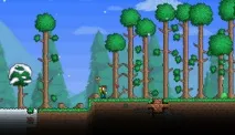 Terraria - двомірне диво від світу пісочниць та пригодницьких екшенів, Білі вікна диво
