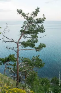 Темна щілина щілина