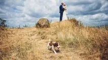 ТОП-7 небанальних місць для весільної фотосесії закарпатських молодят (ФОТО) весільної
