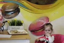 Торти без глютену і без білка. торти