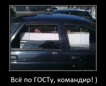 зимове